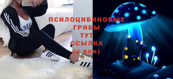 синтетический гашиш Пролетарск